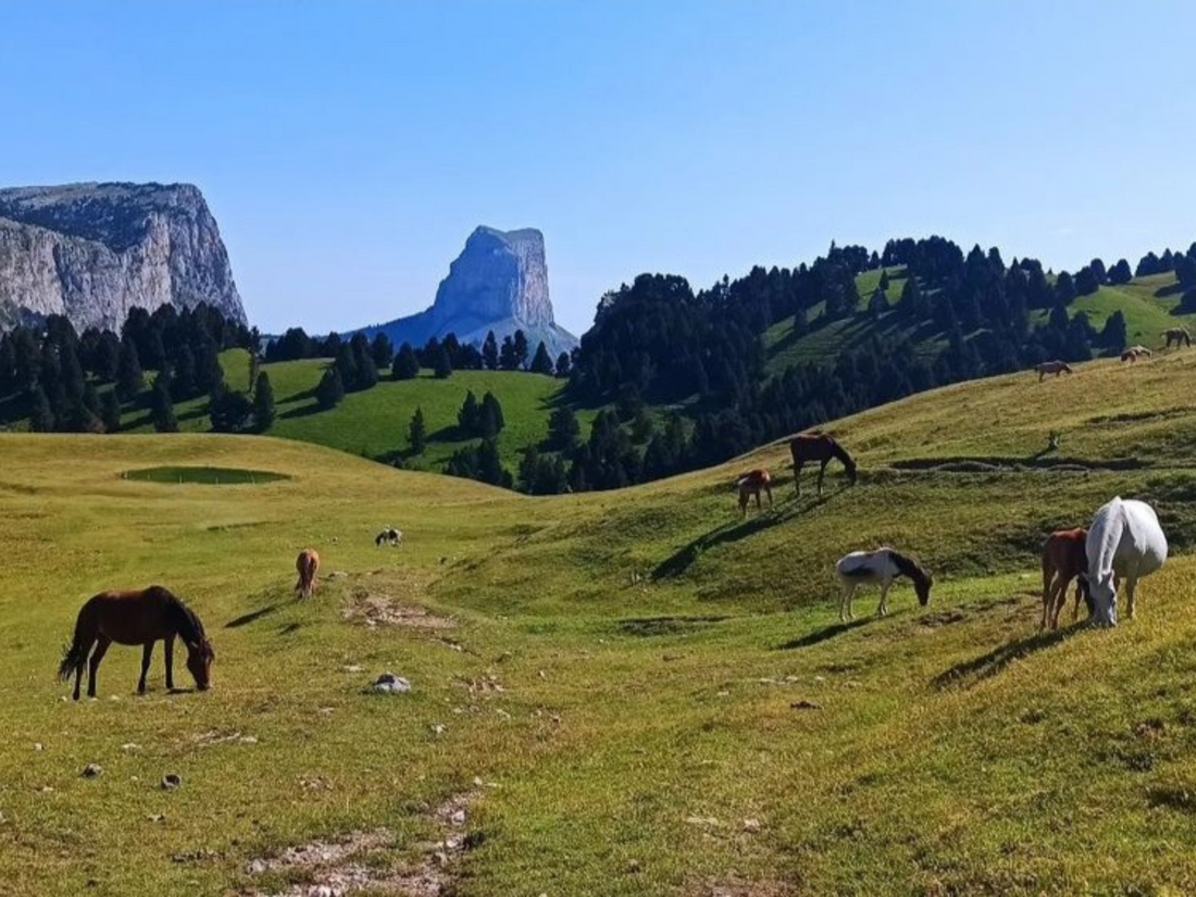 Destination  le Pas de l'Aiguille-VERCORS