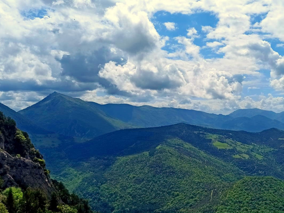 Destination la Forêt de Saou - DRÔME