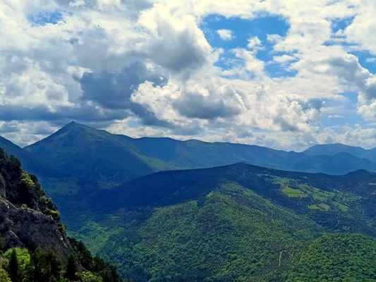 Destination la Forêt de Saou - DRÔME